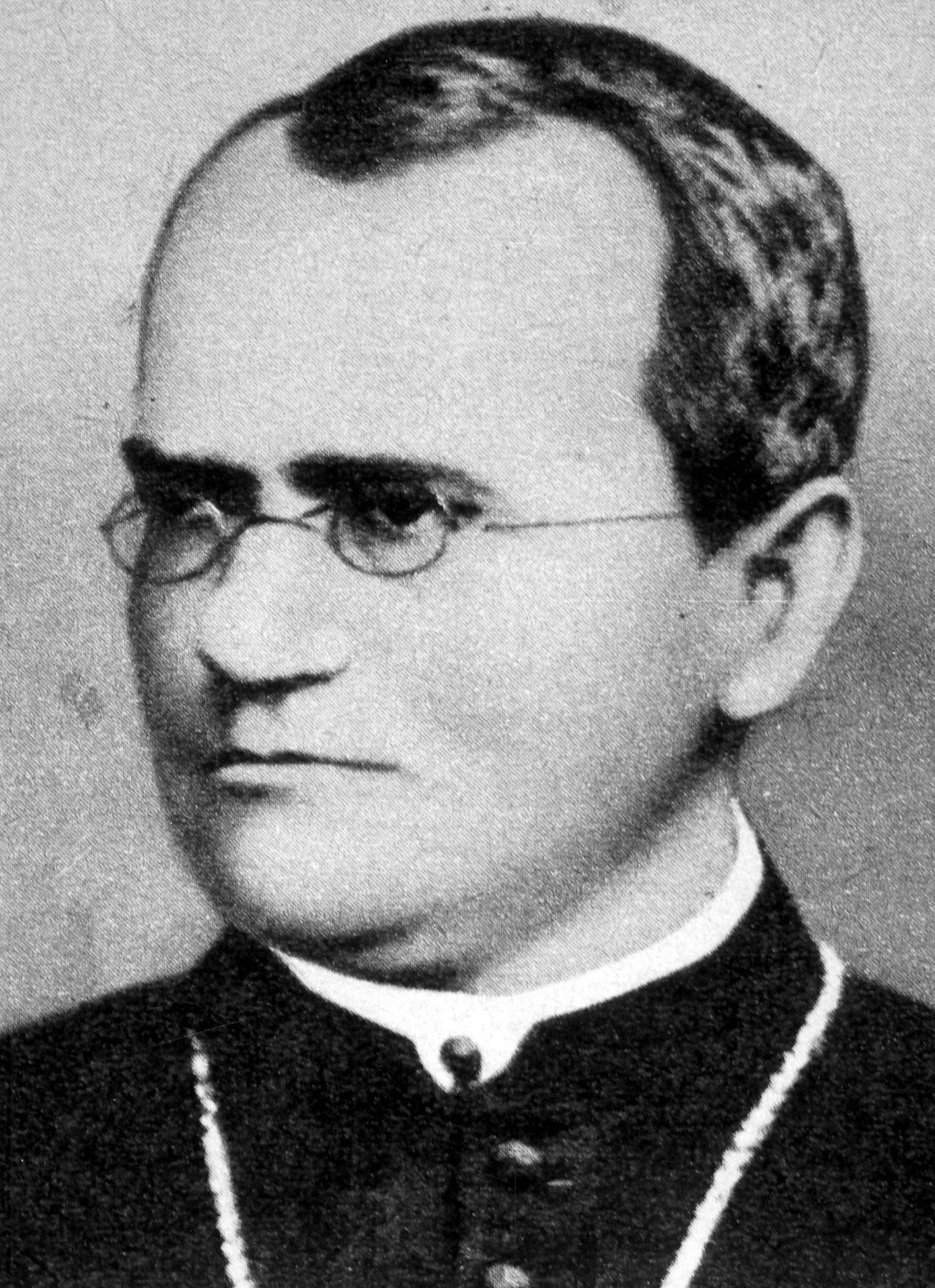 Porträt des Wissenschaftlers und Priesters Gregor Johann Mendel Porträt des Wissenschaftlers und Priesters Gregor Johann Mendel