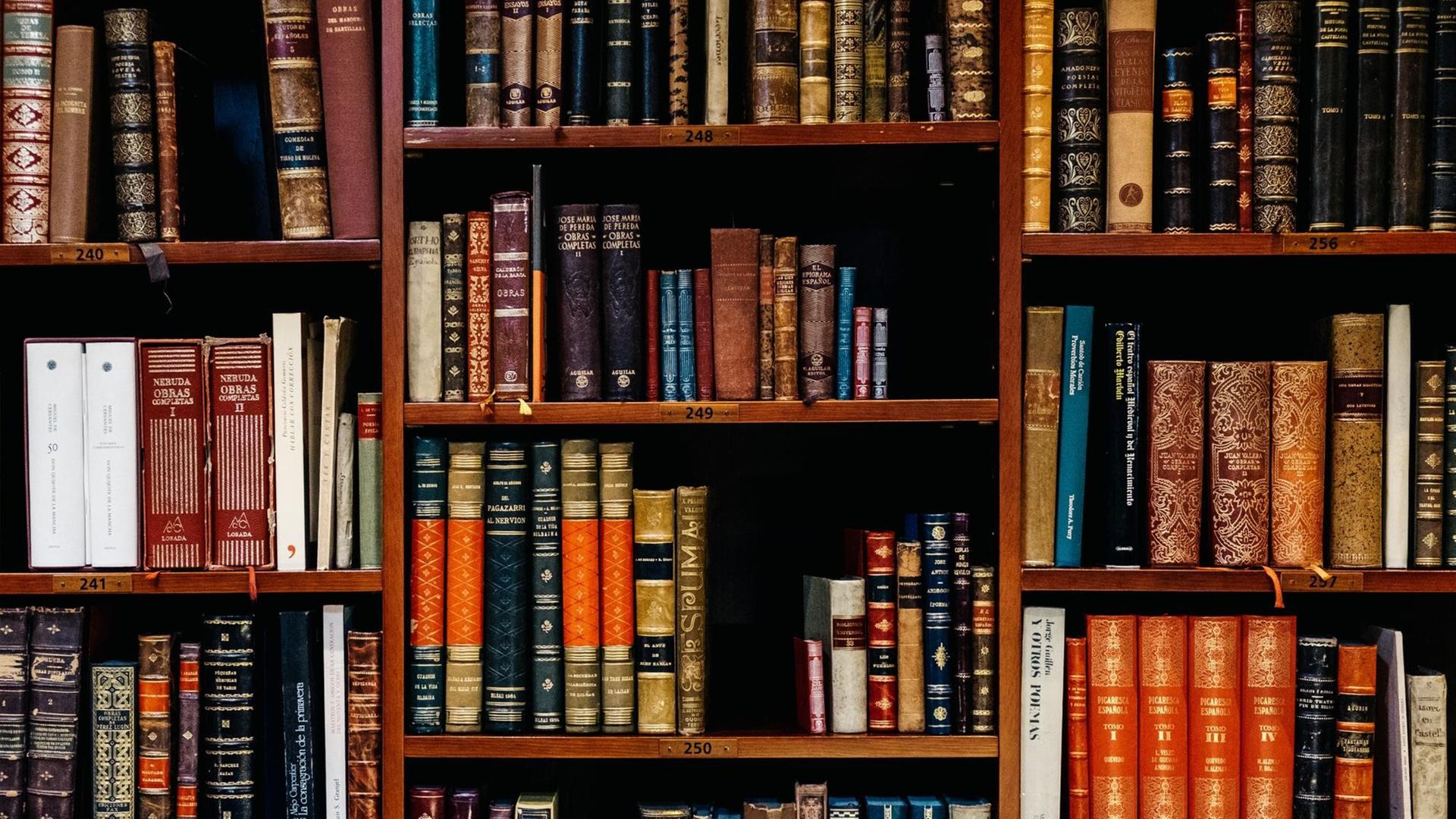 Ein Bücherregal mit alten Büchern.