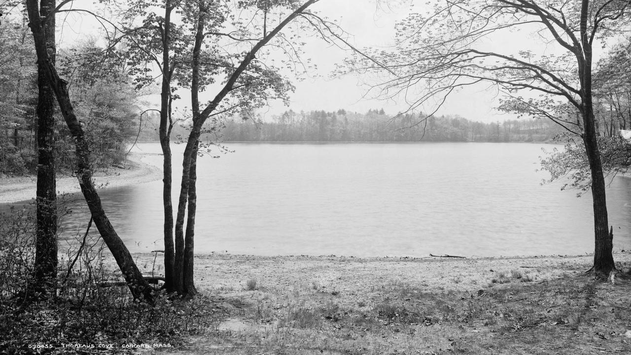 Bucht am Walden See in Concord (Mass./USA), an dem Henry David Thoreau seine berühmten Werke schrieb. 