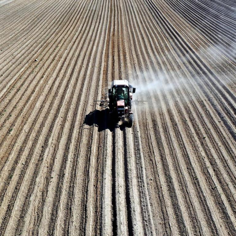 Durch die anhaltende Trockenheit zieht ein Traktor bei der Bearbeitung eines Kartoffelfeldes des Jahnsfelder Biolandhofs eine Staubfahne hinter sich her