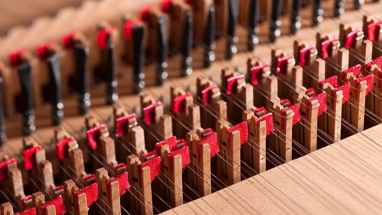Detailaufnahme von Saiten in einem Cembalo, die zwischen kleinen Holzklötzchen verlaufen Detailaufnahme von Saiten in einem Cembalo, die zwischen kleinen Holzklötzchen verlaufen