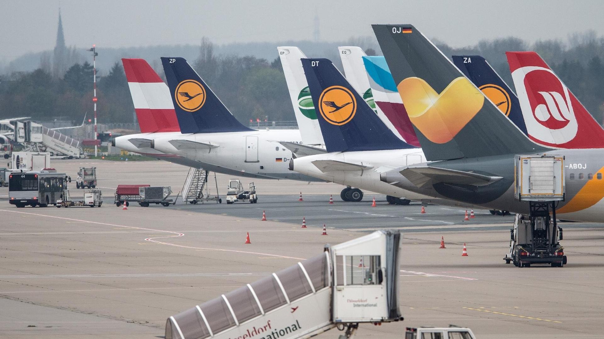 Flugzeuge der Lufthansa am 13.11.2015 auf dem Flughafen in Düsseldorf (Nordrhein-Westfalen) zwischen anderen Maschinen. Flugzeuge der Lufthansa am 13.11.2015 auf dem Flughafen in Düsseldorf (Nordrhein-Westfalen) zwischen anderen Maschinen.