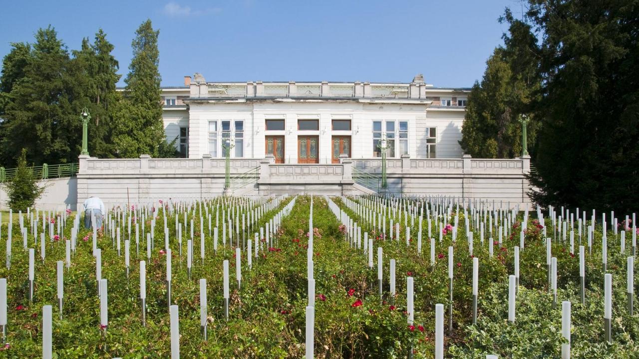 Mahnmal für die Opfer der Euthanasie-Anstalt "Am Spiegelgrund" auf dem Gelände des heutigen Otto-Wagner-Spitals in Wien