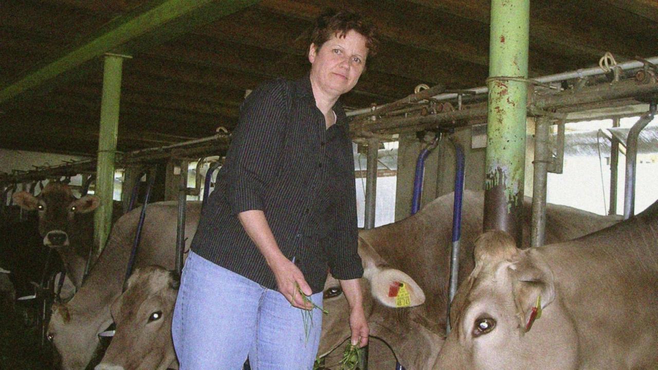 Die Milchbäuerin Maria Heubuch aus Leutkirch versorgt ihre Kühe (Foto undatiert). Die 50-Jährige arbeitet täglich bis zu 14 Stunden auf dem Bauernhof und ist darüber hinaus seit zehn Jahren Bundesvorsitzende der rund 2000 Mitglieder zählenden Arbeitsgemeinschaft bäuerliche Landwirtschaft
