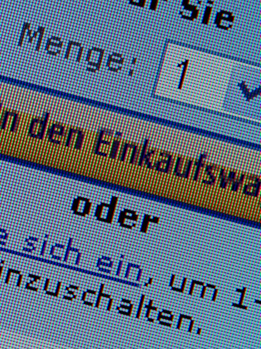 Die Anzeige eines elektronischen Warenkorbs auf einem Computerbildschirm auf der Internetseite eines Onlinehändlers, aufgenommen am 10.01.2014 in Schwerin (Mecklenburg-Vorpommern).