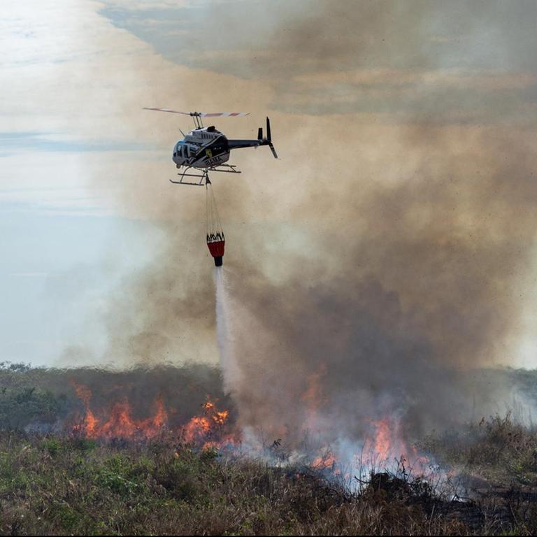 Waldbrände im Amazonas-Gebiet