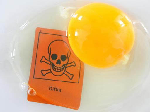 Ein Ei, aufgenommen am Montag (10.01.2011), mit einem Schild mit einem Totenkopf-Zeichen, in Osterode am Harz. Der Skandal um giftiges Dioxin in Eiern und Fleisch nimmt immer größere Dimensionen an.