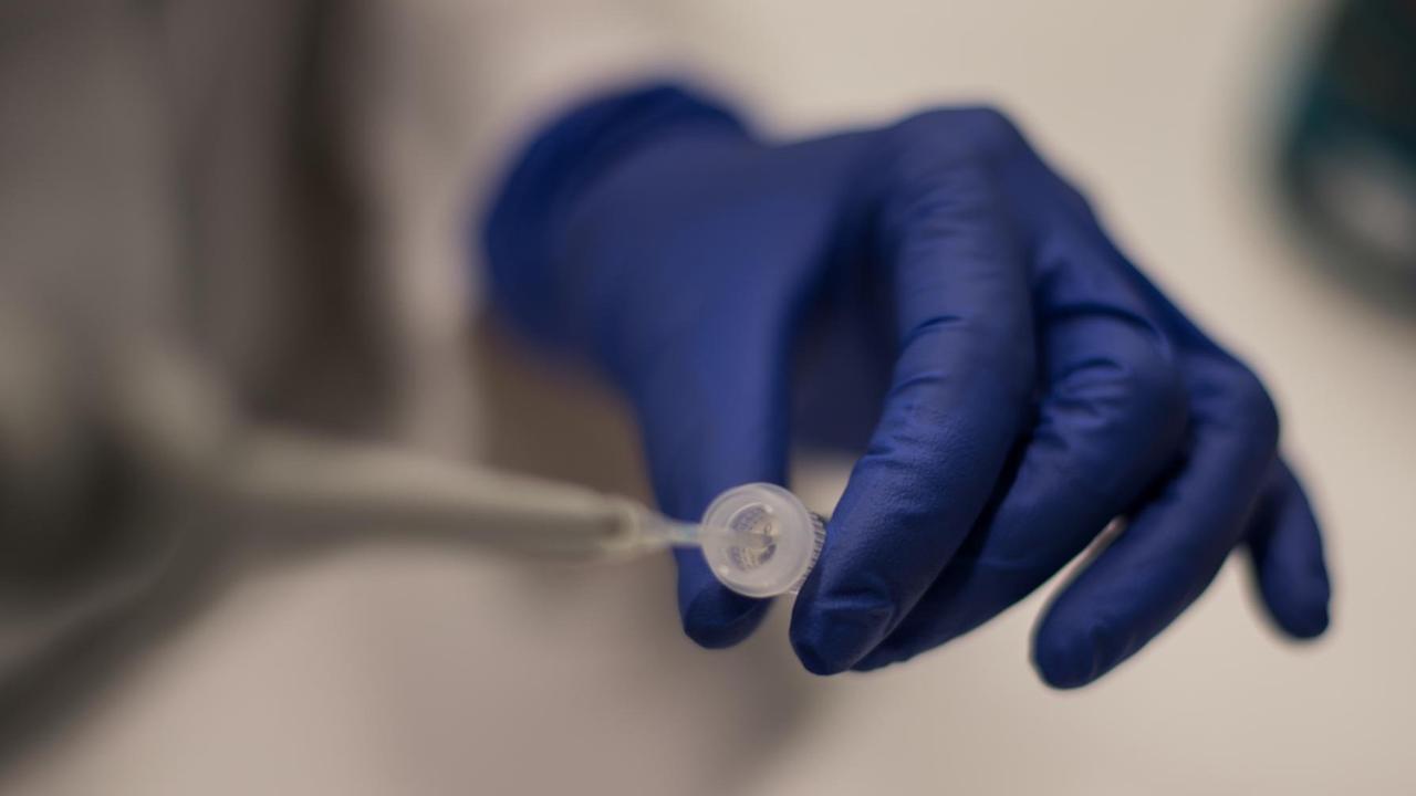 Das ist eine Probe von einem Corona-Virus. Das ist eine Probe von einem Corona-Virus.