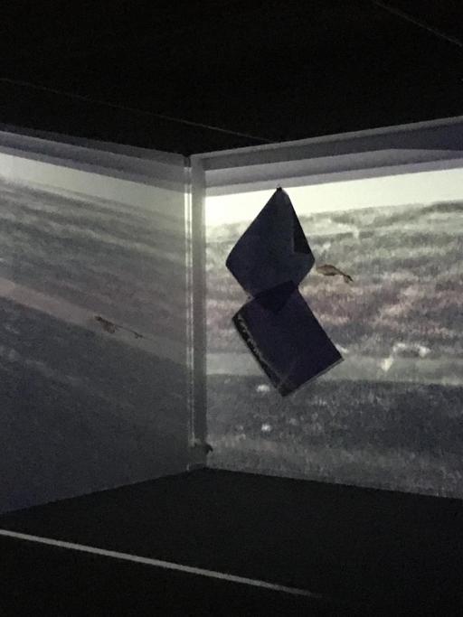 Schwarze und blaue Projektionen (mit Fisch) in einem undurchsichtigen Raum