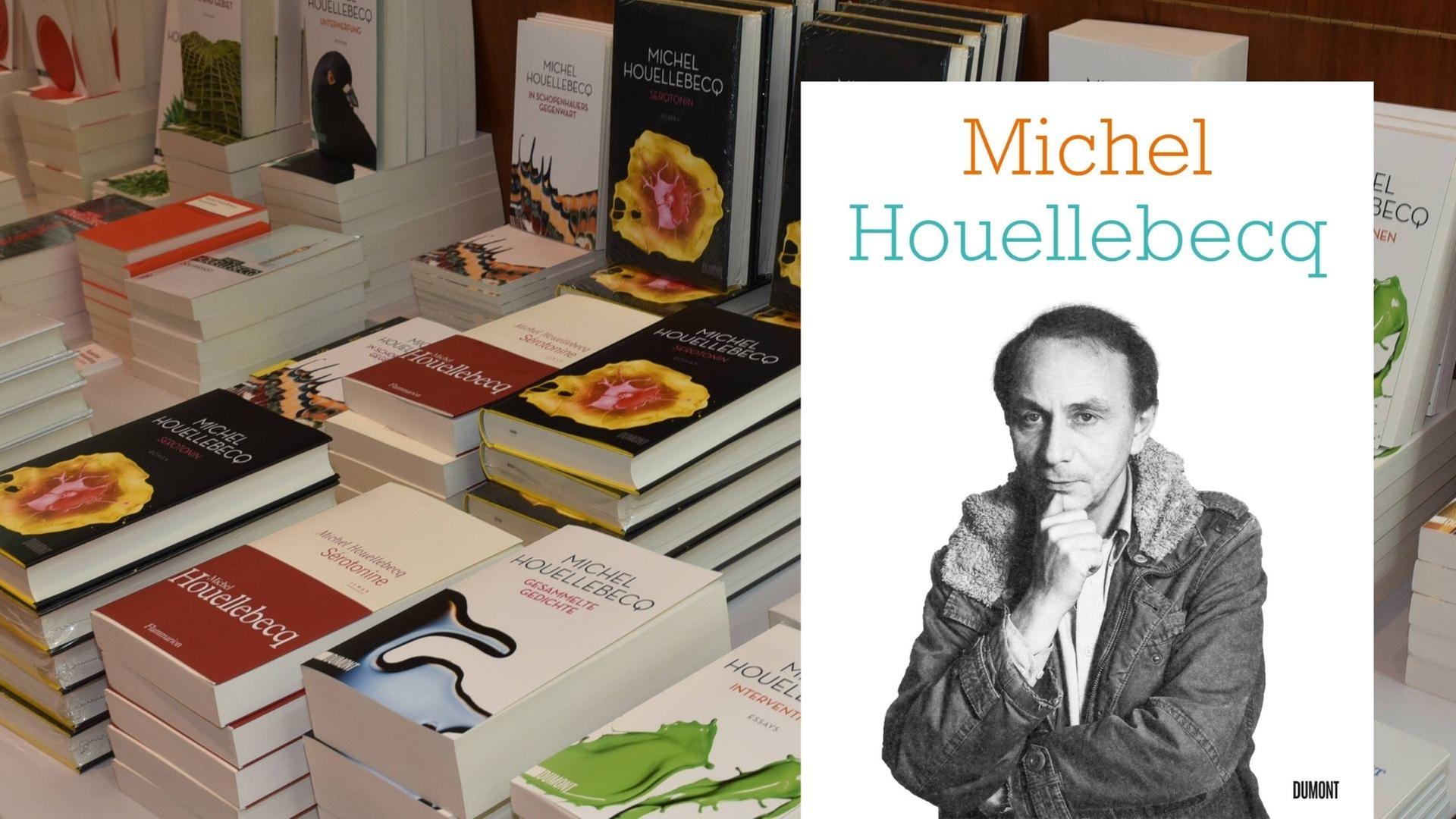 Der Sammelband „Michel Houellebecq“ von Agathe Novak-Lechevalier vor einem Stapel Houellebecq-Bücher