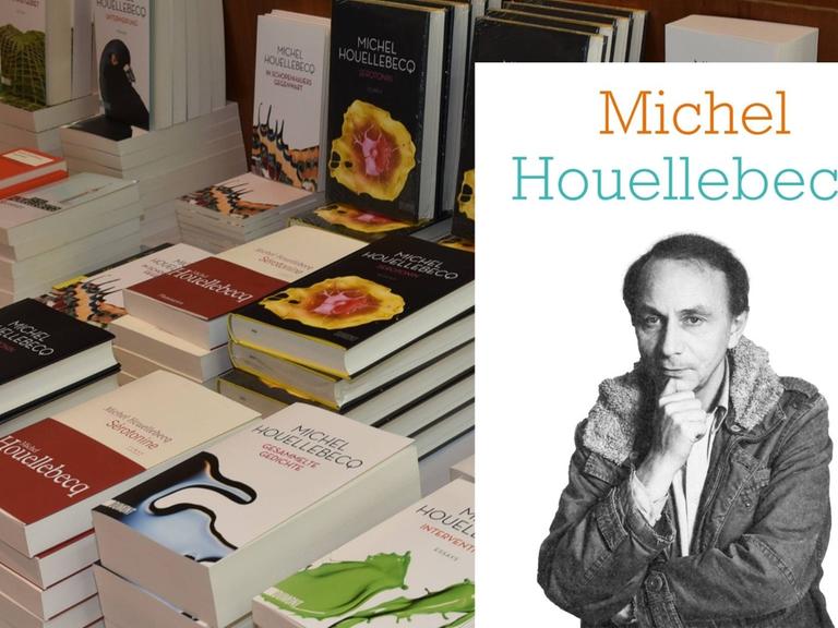 Der Sammelband „Michel Houellebecq“ von Agathe Novak-Lechevalier vor einem Stapel Houellebecq-Bücher