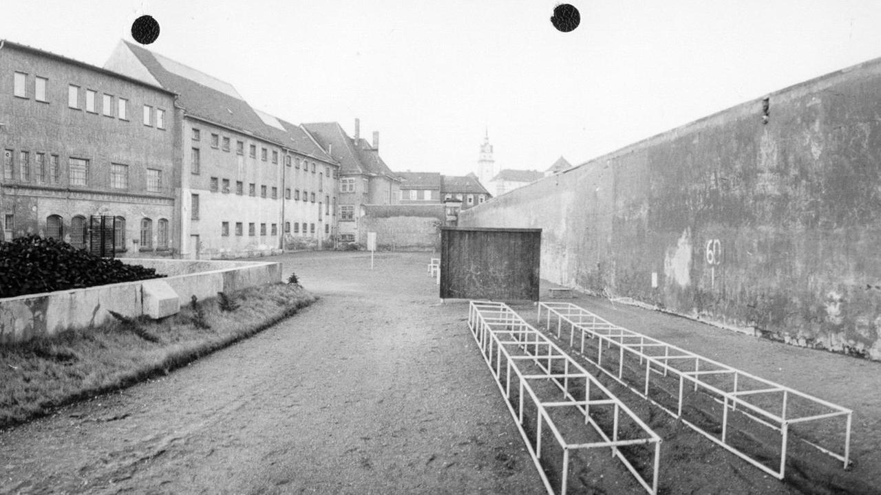 Ein mit Hindernissen gespicktes Trainingsgelände Ein mit Hindernissen gespicktes Trainingsgelände