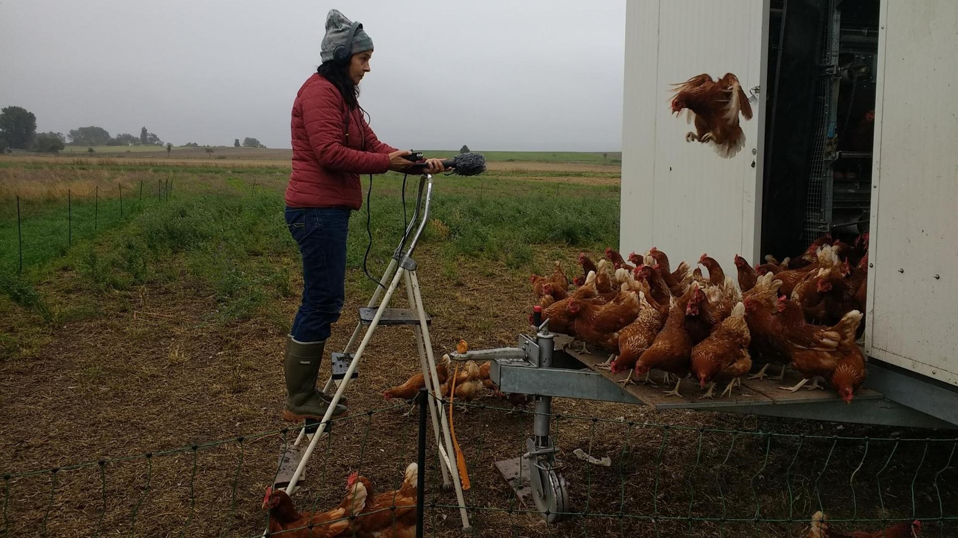 Die Autorin beim mobilen Hühnerstall der neuen Hofbesitzer. 300 Tiere haben darin Platz