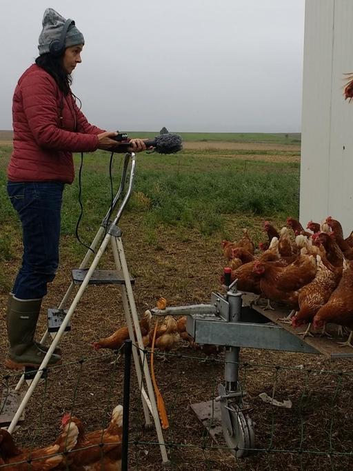 Die Autorin beim mobilen Hühnerstall der neuen Hofbesitzer. 300 Tiere haben darin Platz.