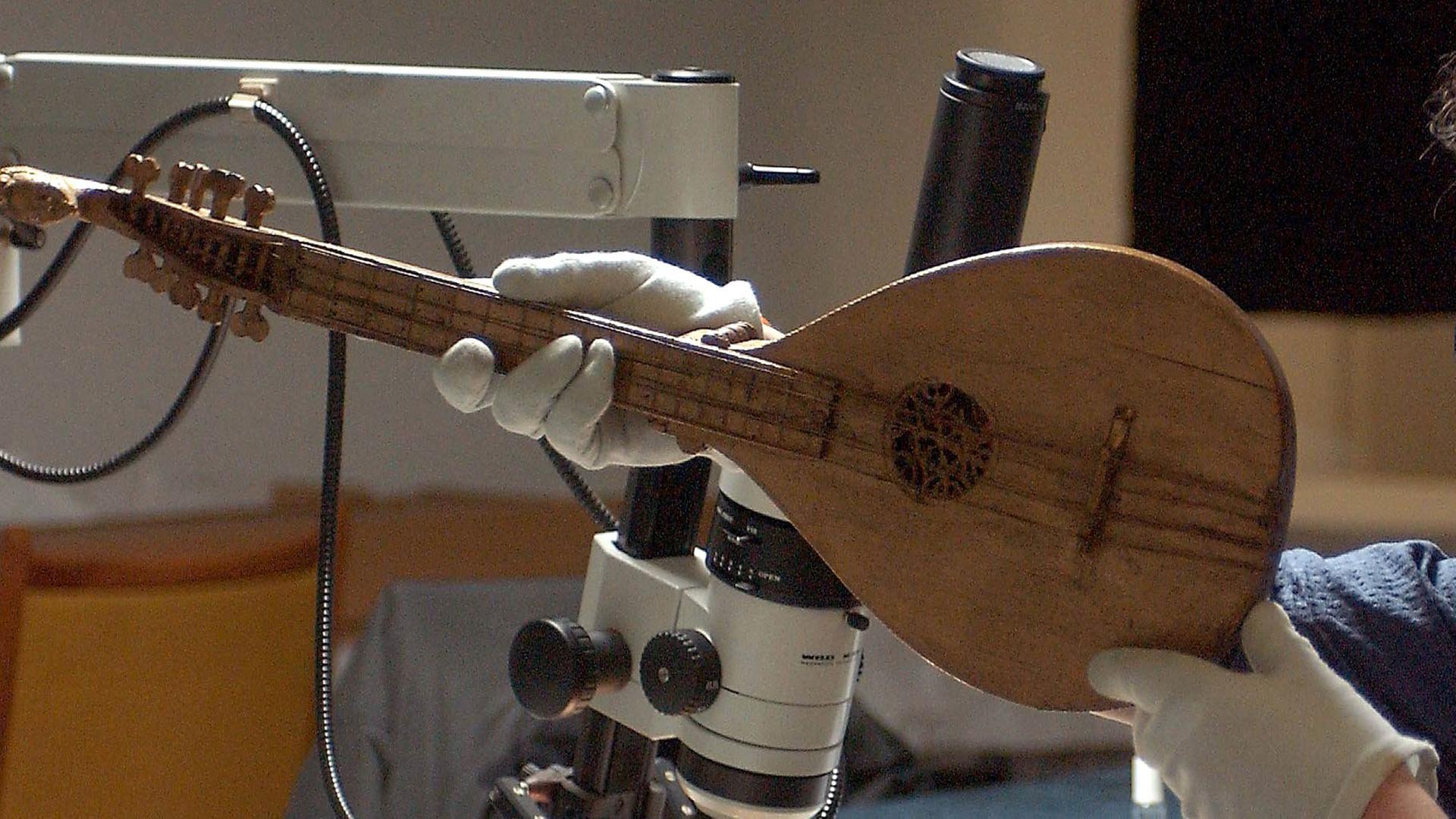 Ein Mitarbeiter des Musikinstrumentenmuseums der Universität Leipzig untersucht am 06.03.2003 eine Cister aus der Renaissancezeit. Das mehr als 400 Jahre alte Instrument ist Teil eines Fundes von insgesamt 30 Instrumenten im Freiberger Dom. Ein Mitarbeiter des Musikinstrumentenmuseums der Universität Leipzig untersucht am 06.03.2003 eine Cister aus der Renaissancezeit. Das mehr als 400 Jahre alte Instrument ist Teil eines Fundes von insgesamt 30 Instrumenten im Freiberger Dom.