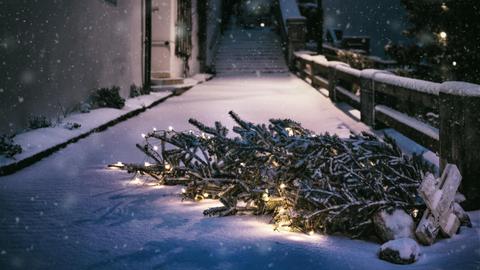 Ein umgekippter Tannenbaum mit Weihnachtslichtern im Schnee vor einem Haus.
