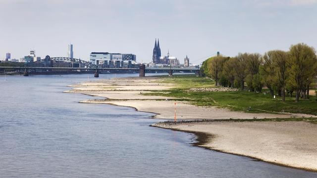 Blick auf Köln bei Niedrigwasser des Rheins zwischen Köln-Rodenkirchen und Köln, Nordrhein-Westfalen, Deutschland, Europa | Verwendung weltweit, Keine Weitergabe an Wiederverkäufer.