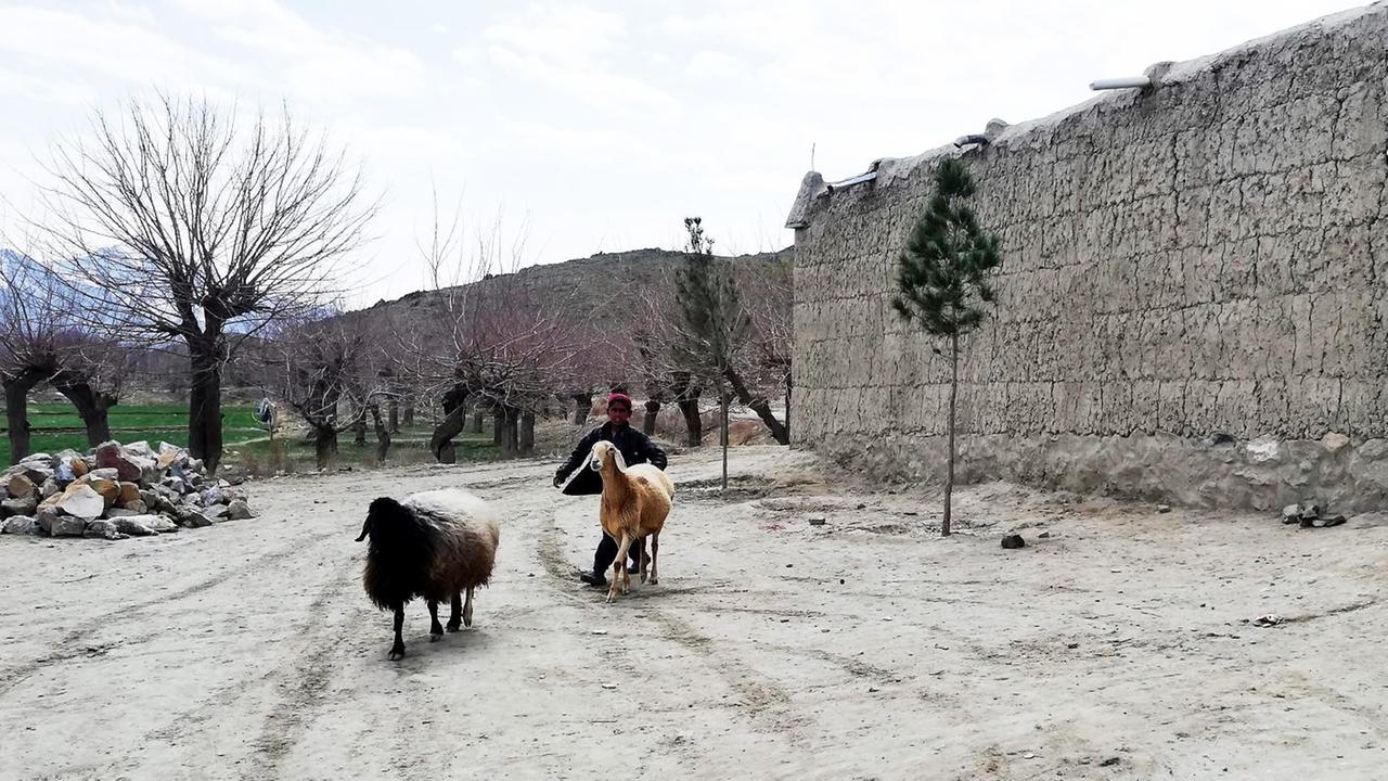 Wenig vom Fortschritt in Kabul kommt im ländlichen Afghanistan an.