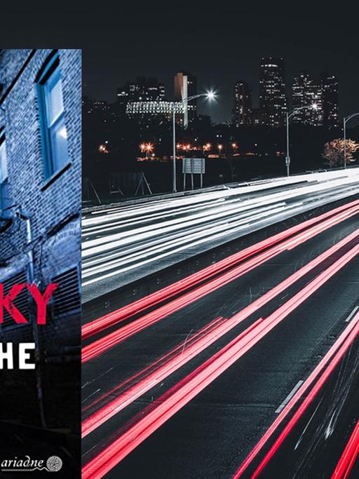 Cover von Sara Paretskys Buch "Kritische Masse". Im Hintergrund ist eine Nachtaufnahme von einer vielbefahrenen Straße in Chicago zu sehen.