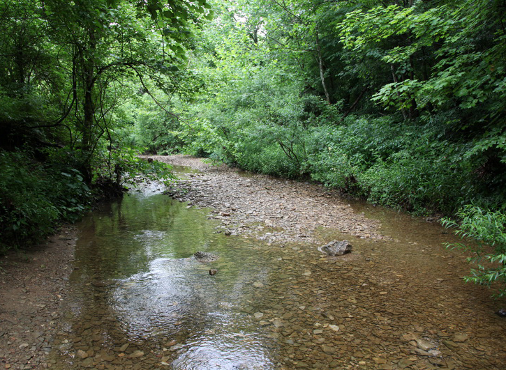 Knob Creek, an der Stelle, wo der kleine Abraham nach einem Wolkenbruch fast ertrunken wäre (100 m von der Blockhütte entfernt). Knob Creek, an der Stelle, wo der kleine Abraham nach einem Wolkenbruch fast ertrunken wäre (100 m von der Blockhütte entfernt).