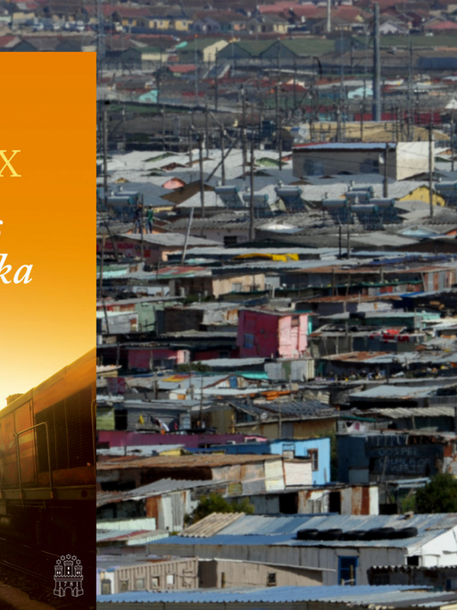 Buchcover: "Ein letztes Mal in Afrika" von Paul Theroux. Im Hintergrund ein südafrikanisches Township.