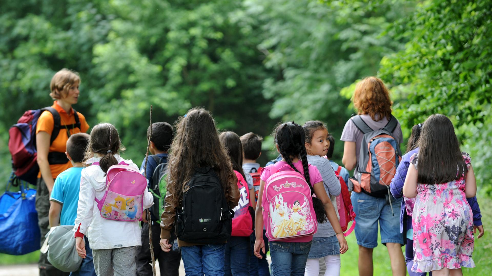 Eine Schulklasse geht durch einen Wald Eine Schulklasse geht durch einen Wald