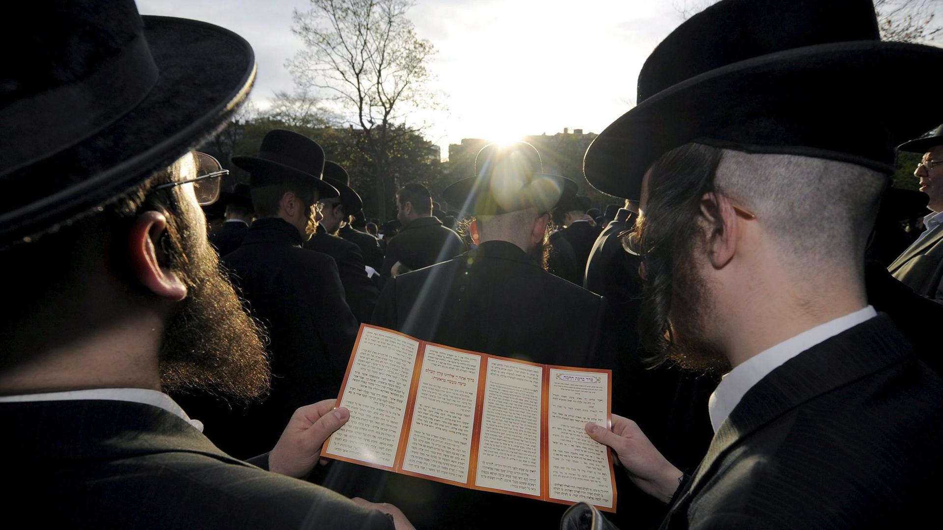 Orthodoxe Juden haben sich in Antwerpen unter freiem Himmel zum Sonnengebet versammelt und schauen in Richtung Sonne. Orthodoxe Juden haben sich in Antwerpen unter freiem Himmel zum Sonnengebet versammelt und schauen in Richtung Sonne.