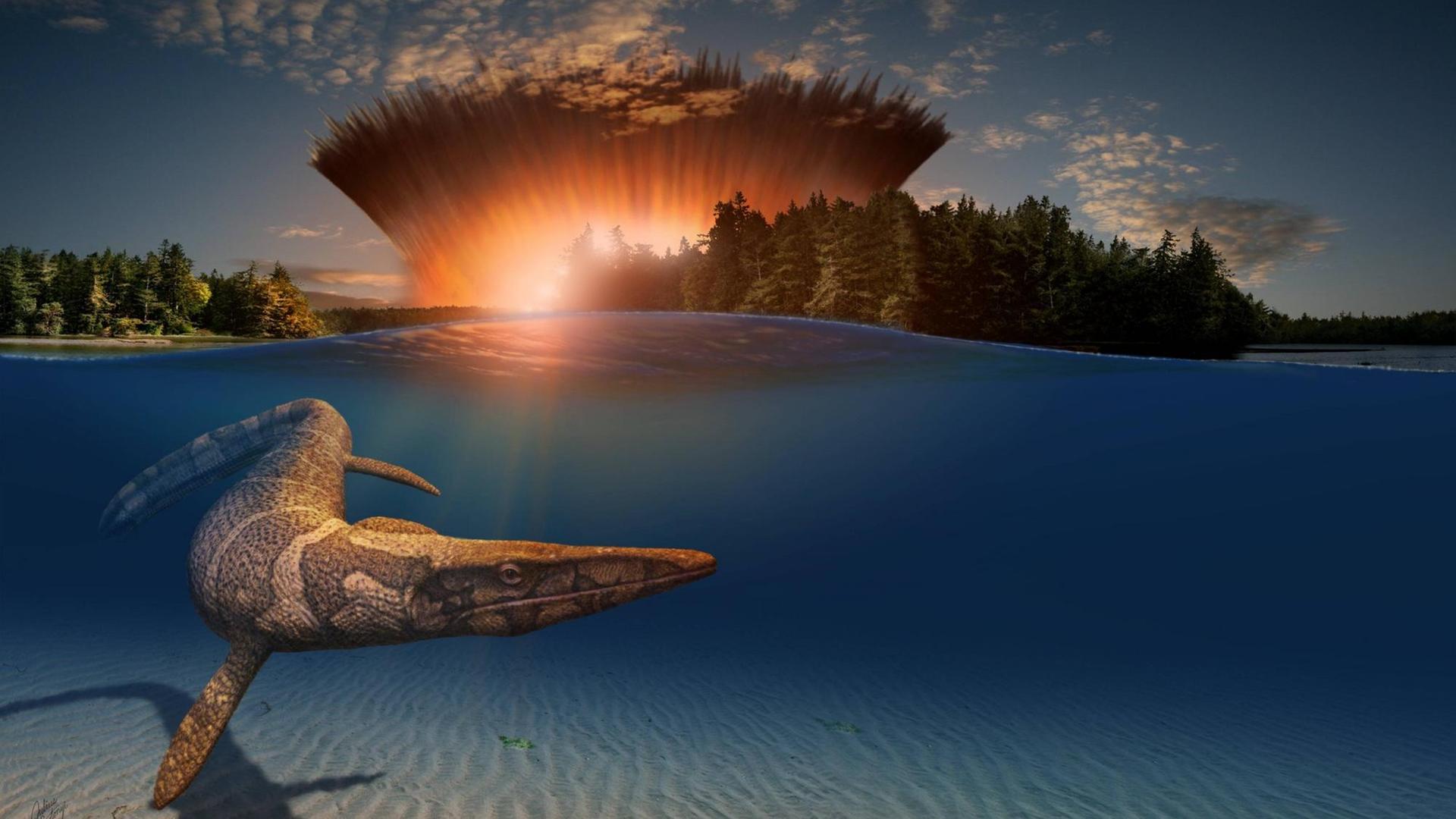 Dem Einschlag des Asteroiden wird nicht nur die Verantwortung für das Ende der Dinosaurier zugeschrieben, er formte auch den 180 Kilometer weiten Chicxulub-Krater Dem Einschlag des Asteroiden wird nicht nur die Verantwortung für das Ende der Dinosaurier zugeschrieben, er formte auch den 180 Kilometer weiten Chicxulub-Krater