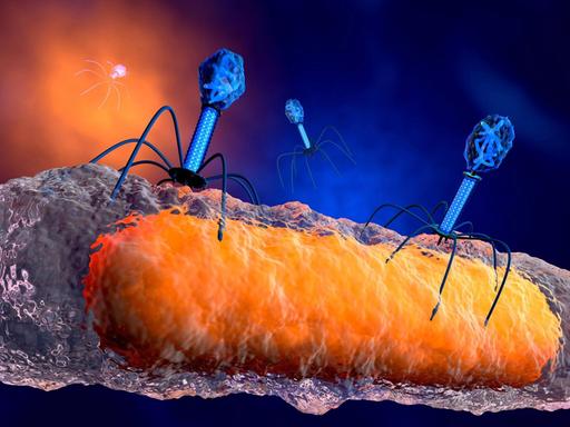 Eine 3D-Illustration von Bakteriophagen-Viren, die Bakterien attackieren.
