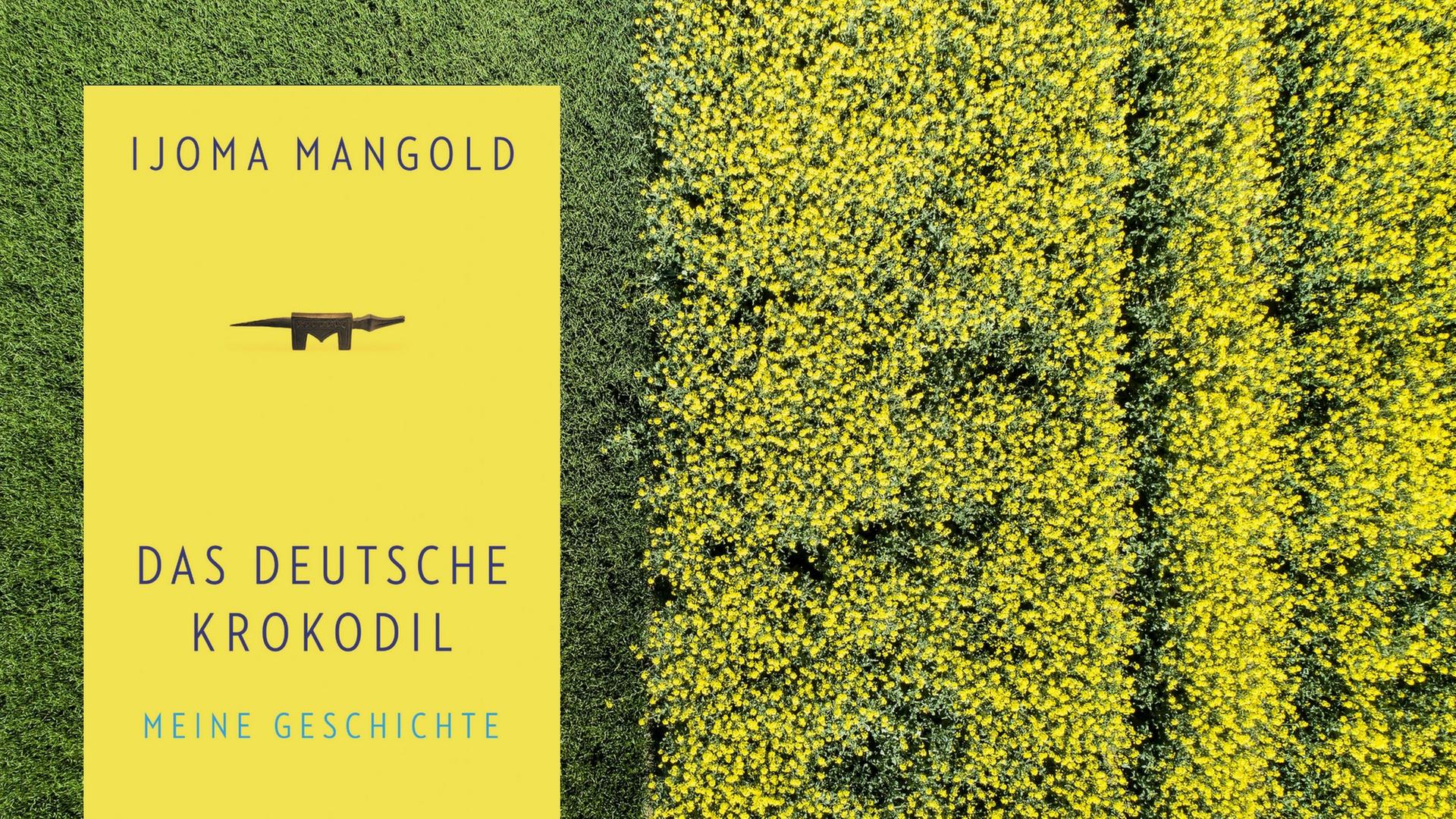 Eine Wiese neben einem Rapsfeld in Bayern von oben. darauf platziert das Cover des Buches "Das Deutsche Krokodil"