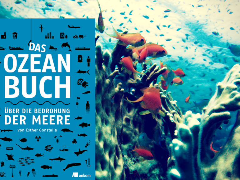 Esther Gonstalla: "Das Ozeanbuch“