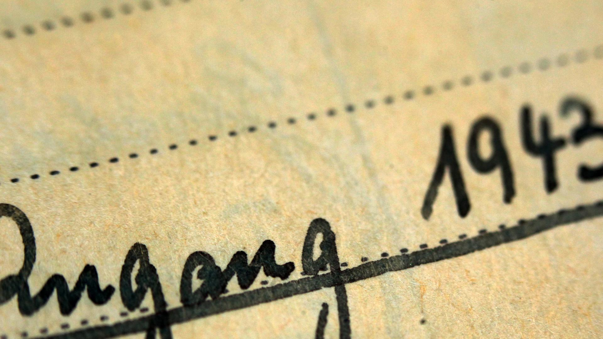 Der Ausschnitt einer historischen Museums-Akte zeigt den handschriftlichen Eintrag "Zugang 1943" Der Ausschnitt einer historischen Museums-Akte zeigt den handschriftlichen Eintrag "Zugang 1943"