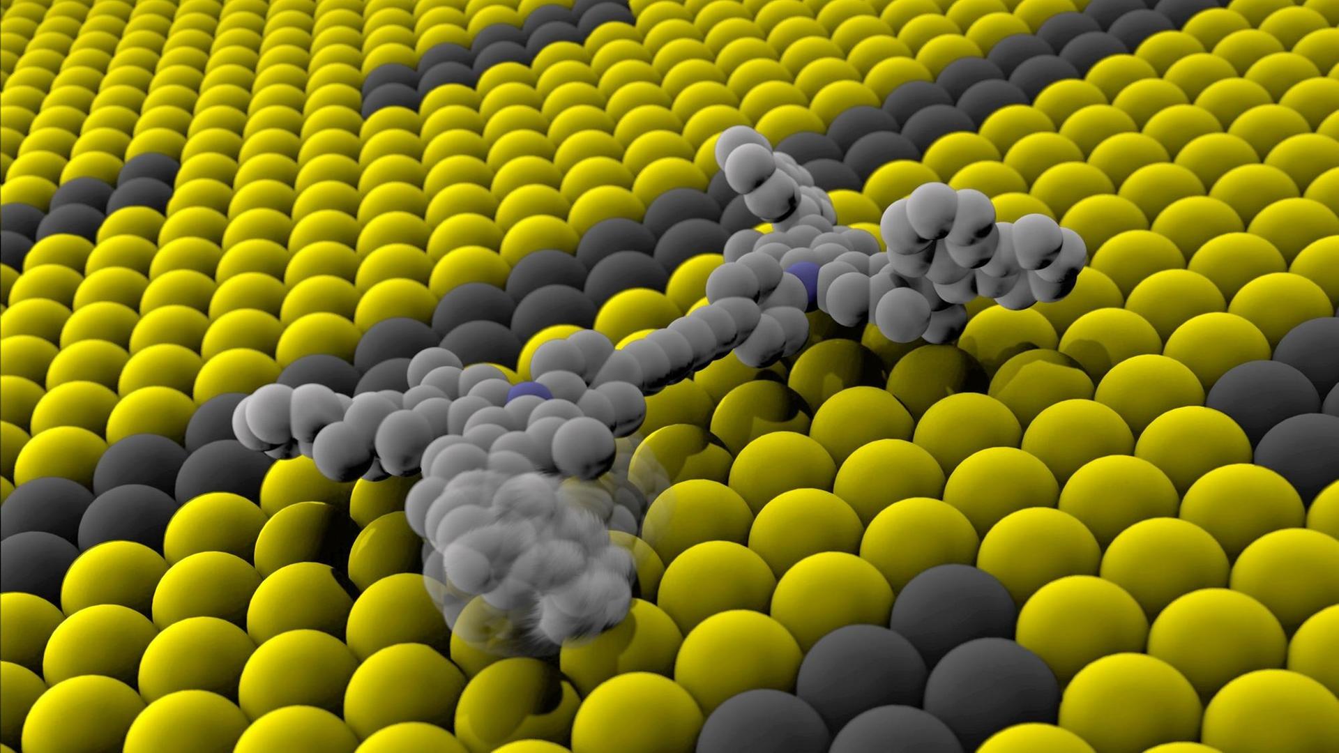 Ein winziges Nano-Auto bewegt sich auf einer Kupferscheibe. Das kleinste Auto der Welt besteht aus einem einzigen Molekül, ist nur rund einen milliardstel Meter (Nanometer) lang und wird elektrisch angetrieben. Ein winziges Nano-Auto bewegt sich auf einer Kupferscheibe. Das kleinste Auto der Welt besteht aus einem einzigen Molekül, ist nur rund einen milliardstel Meter (Nanometer) lang und wird elektrisch angetrieben.