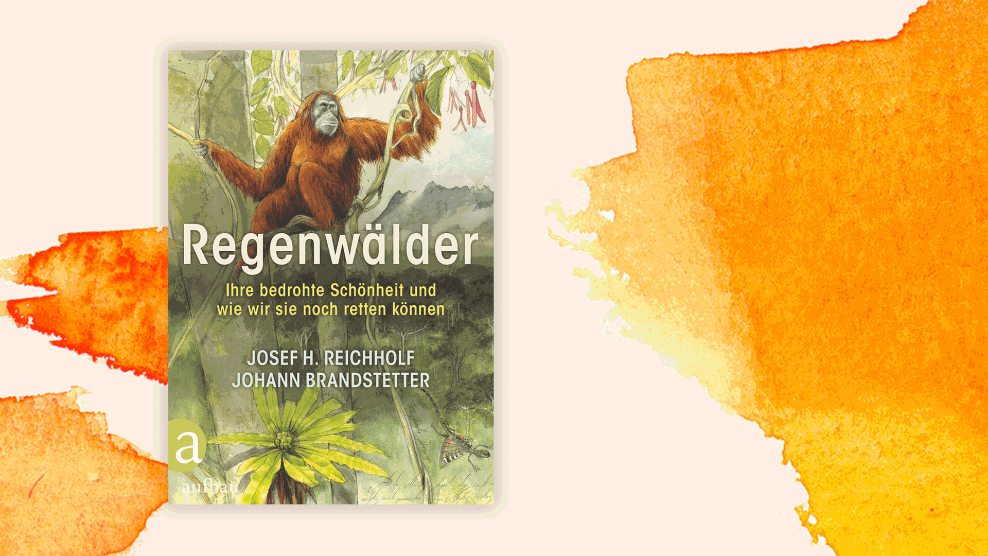 Cover des Buchs "Regenwälder. Ihre bedrohte Schönheit und wie wir sie noch retten können" von Josef H. Reichholf und Johann Brandstetter. Cover des Buchs "Regenwälder. Ihre bedrohte Schönheit und wie wir sie noch retten können" von Josef H. Reichholf und Johann Brandstetter.