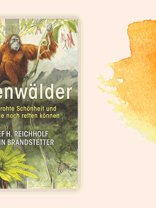 Cover des Buchs "Regenwälder. Ihre bedrohte Schönheit und wie wir sie noch retten können" von Josef H. Reichholf und Johann Brandstetter.