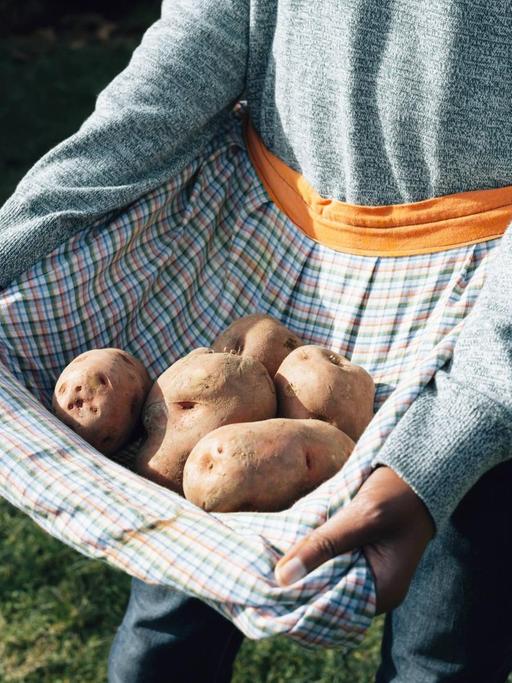 Eine Frau trägt frische Kartoffeln in ihrer Schürze.