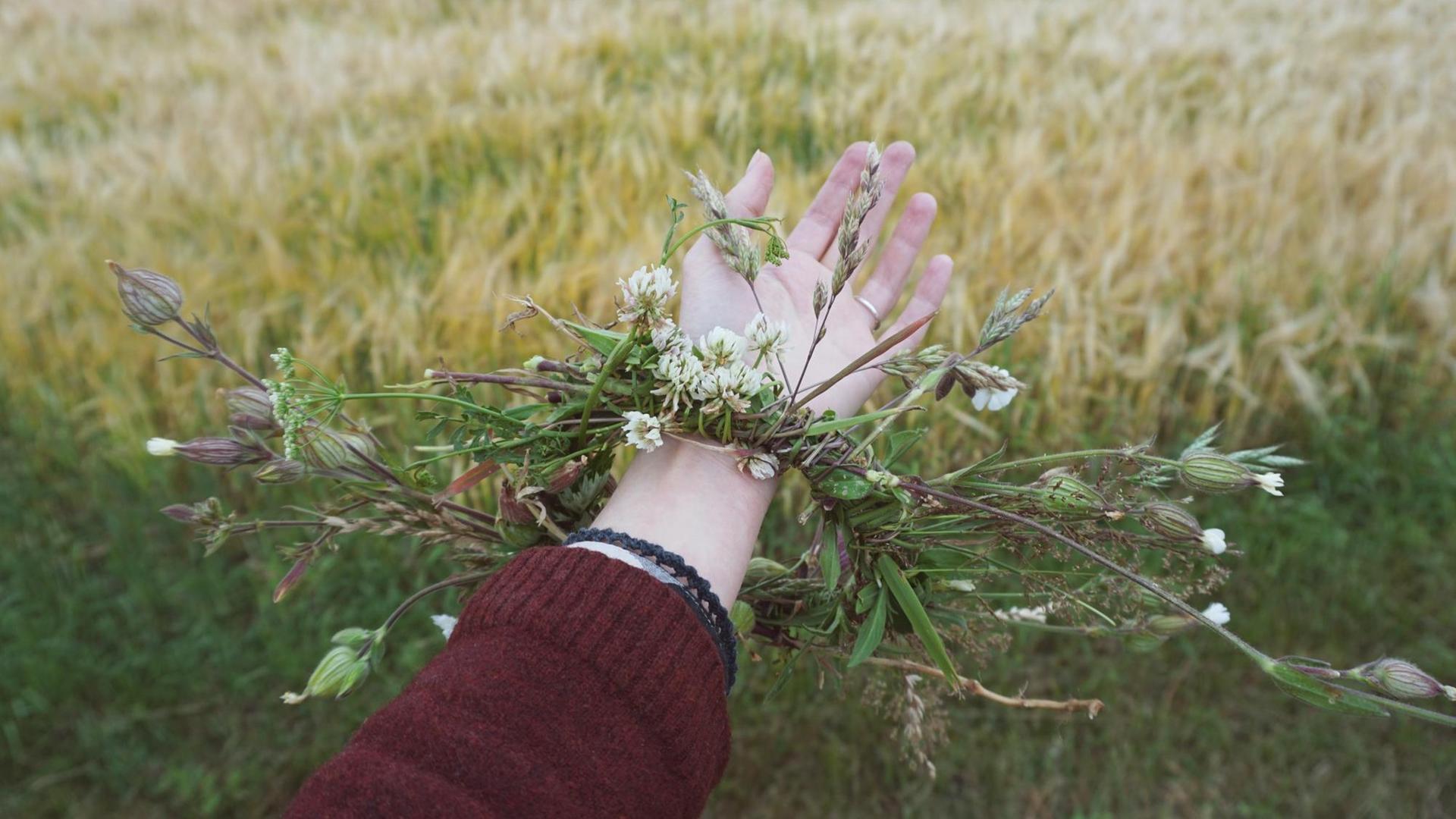 Ein ausgestreckter Arm mit einem Kranz aus wildblühenden Pflanzen um das Handgelenk vor einer Sommerwiese. Ein ausgestreckter Arm mit einem Kranz aus wildblühenden Pflanzen um das Handgelenk vor einer Sommerwiese.
