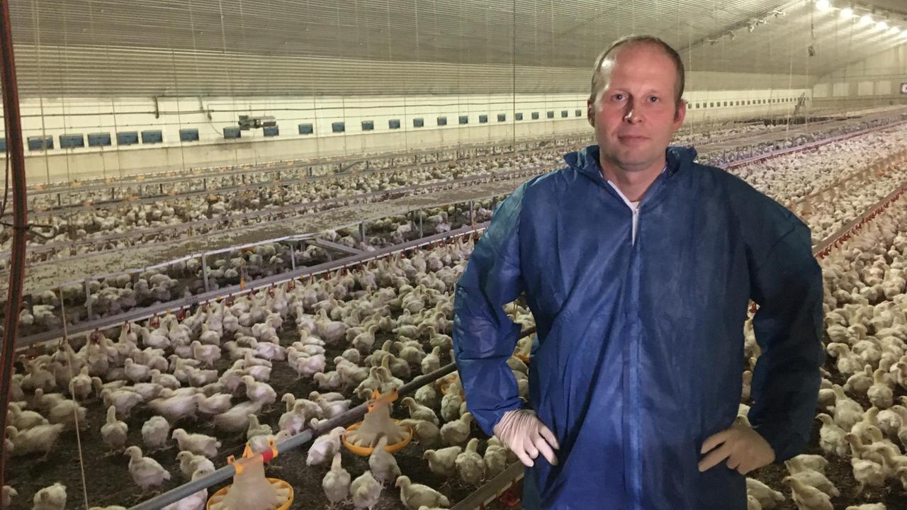 Ein Mann steht in einem Hühnermaststall – im Hintergrund sind jugendliche Küken und lange Reihen mit Futternäpfen und Wassertränken zu erkennen. Ein Mann steht in einem Hühnermaststall – im Hintergrund sind jugendliche Küken und lange Reihen mit Futternäpfen und Wassertränken zu erkennen.