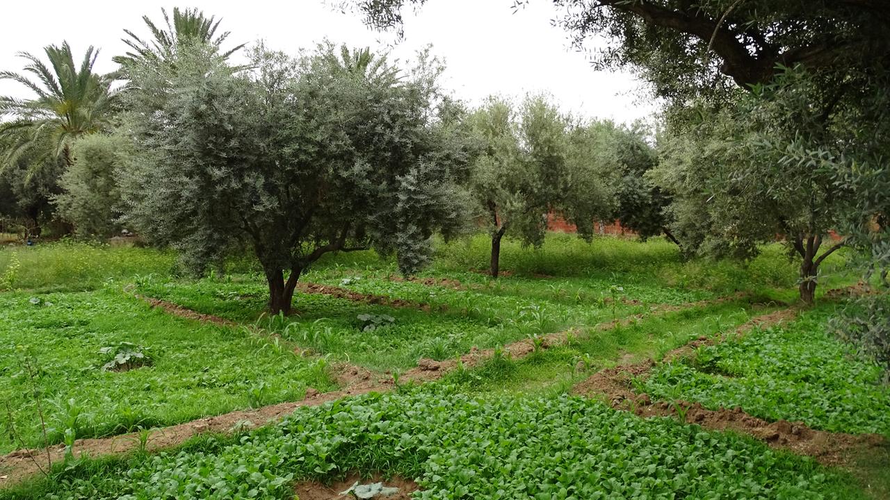 Gafsa-Oasen-Projekt in Tunesien Gafsa-Oasen-Projekt in Tunesien