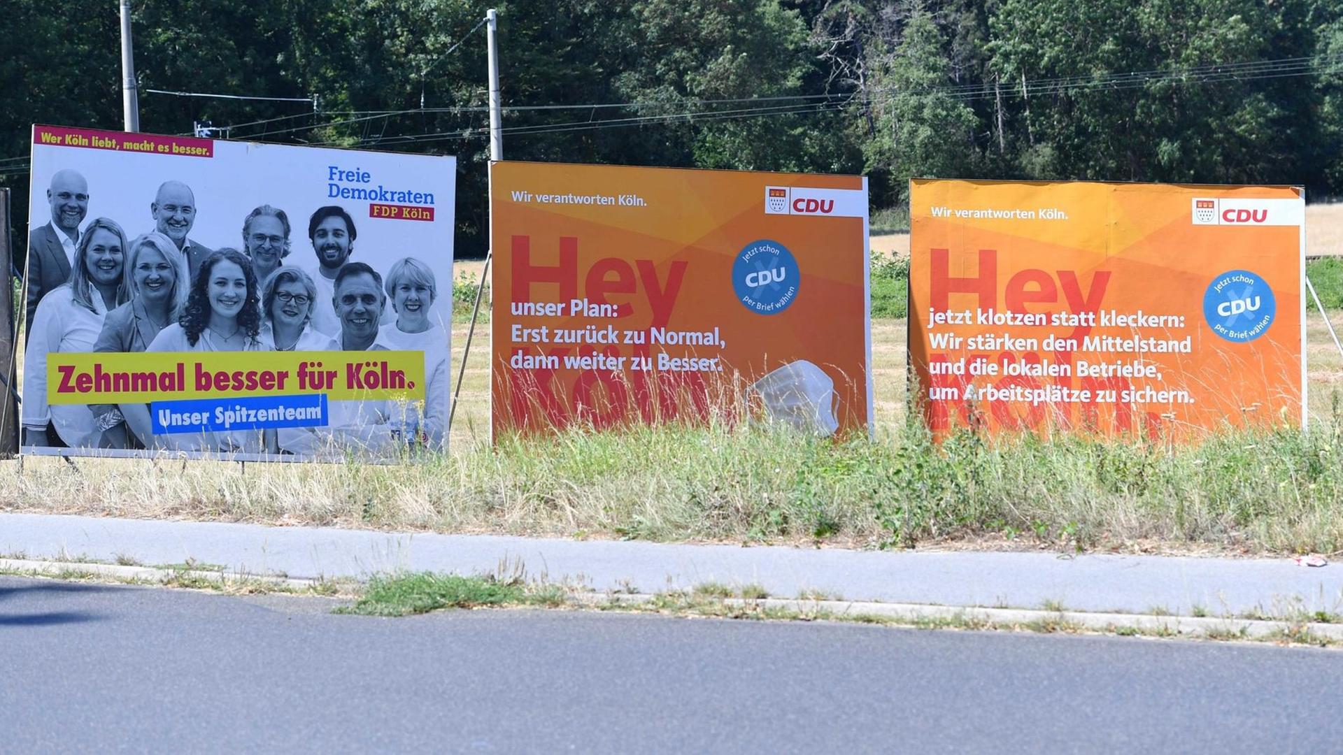 Auf dem Foto sind Wahl-Plakate von der FDP und von der CDU zu sehen. Auf dem Foto sind Wahl-Plakate von der FDP und von der CDU zu sehen.