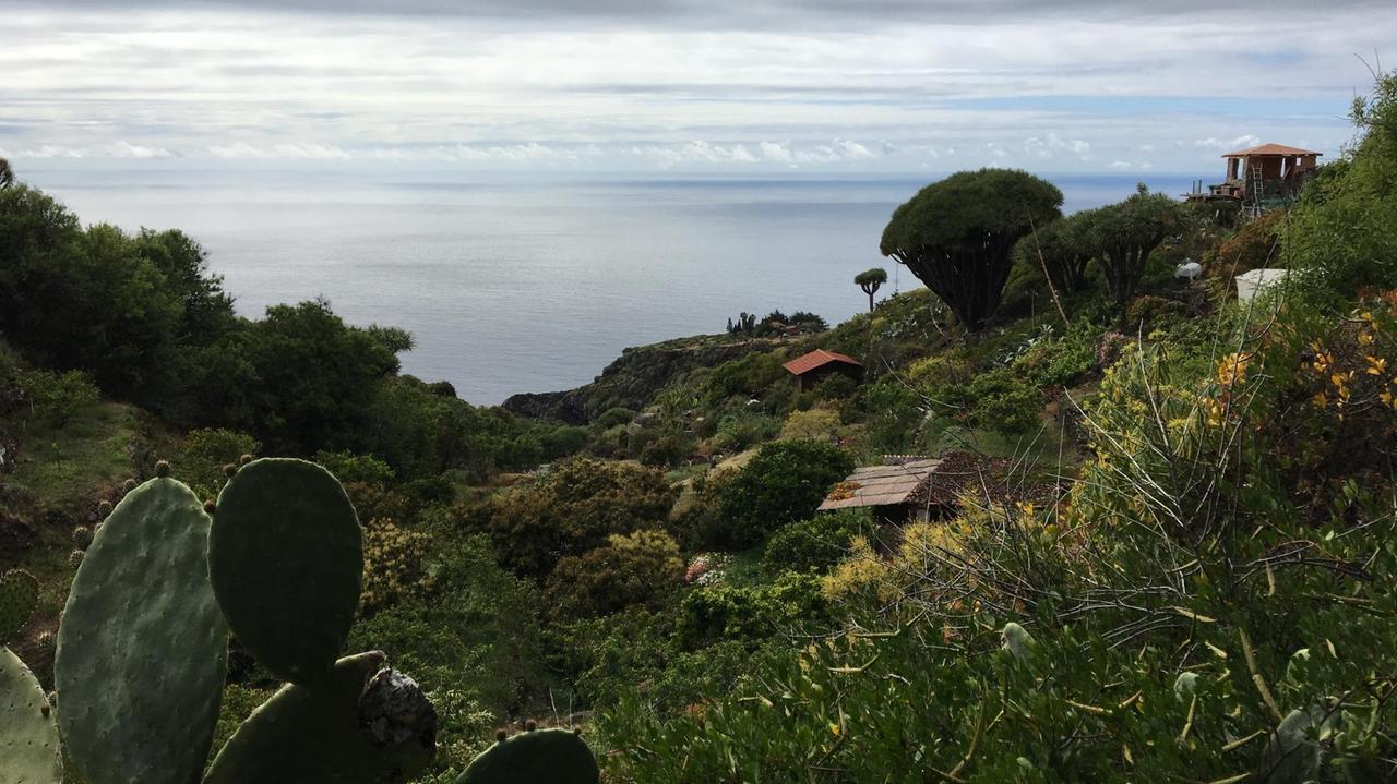 Tal auf La Palma Tal auf La Palma