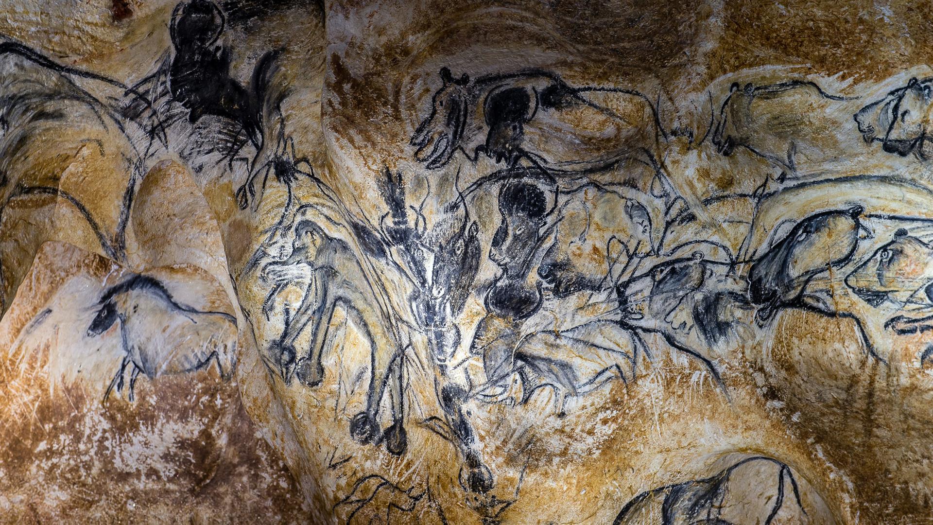 Höhlenzeichnungen in der Nachbildung der Chauvet-Grotte, die bis zu 36.000 Jahre alte Tierbilder beherbergt und 1994 von dem Archäologen Jean-Marie Chauvet entdeckt wurde. Höhlenzeichnungen in der Nachbildung der Chauvet-Grotte, die bis zu 36.000 Jahre alte Tierbilder beherbergt und 1994 von dem Archäologen Jean-Marie Chauvet entdeckt wurde.
