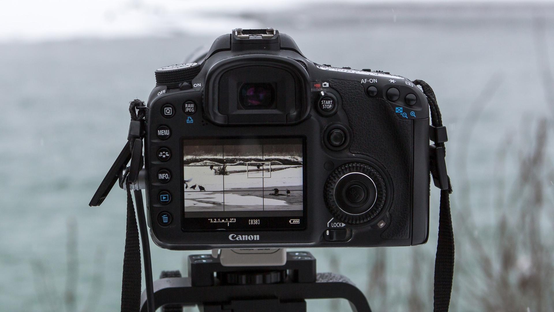 Ein Fotoapparat steht in der Natur bei Weißkopfseeadlern.