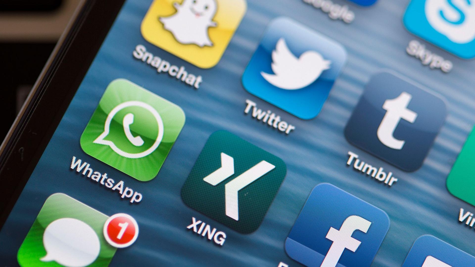 Auf dem Display eines Smartphones sind die App-Logos verschiedener Social Media Plattformen zu sehen Derweil der Anbieter Facebook seit einiger Zeit Nutzer verliert, werden Dienste wie Snapchat, Tumblr, Twitter und Vine immer beliebter. Auf dem Display eines Smartphones sind die App-Logos verschiedener Social Media Plattformen zu sehen Derweil der Anbieter Facebook seit einiger Zeit Nutzer verliert, werden Dienste wie Snapchat, Tumblr, Twitter und Vine immer beliebter.