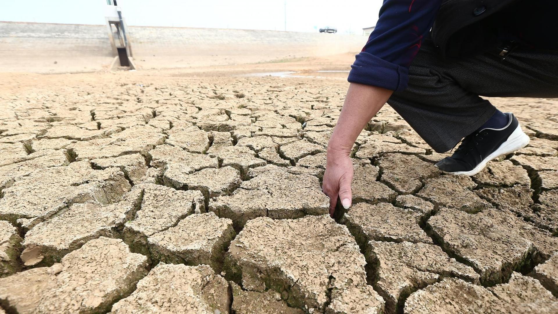 A person puts a hand into the land cracks of the drought-stricken reservoir dried up due to prolonged drought in Anqing city, east China's Anhui province, 6 November 2019. The Ministry of Finance allocated emergency funding of 100 million yuan ($14.2 million) for drought relief in five provincial regions in Central and Southwest China.