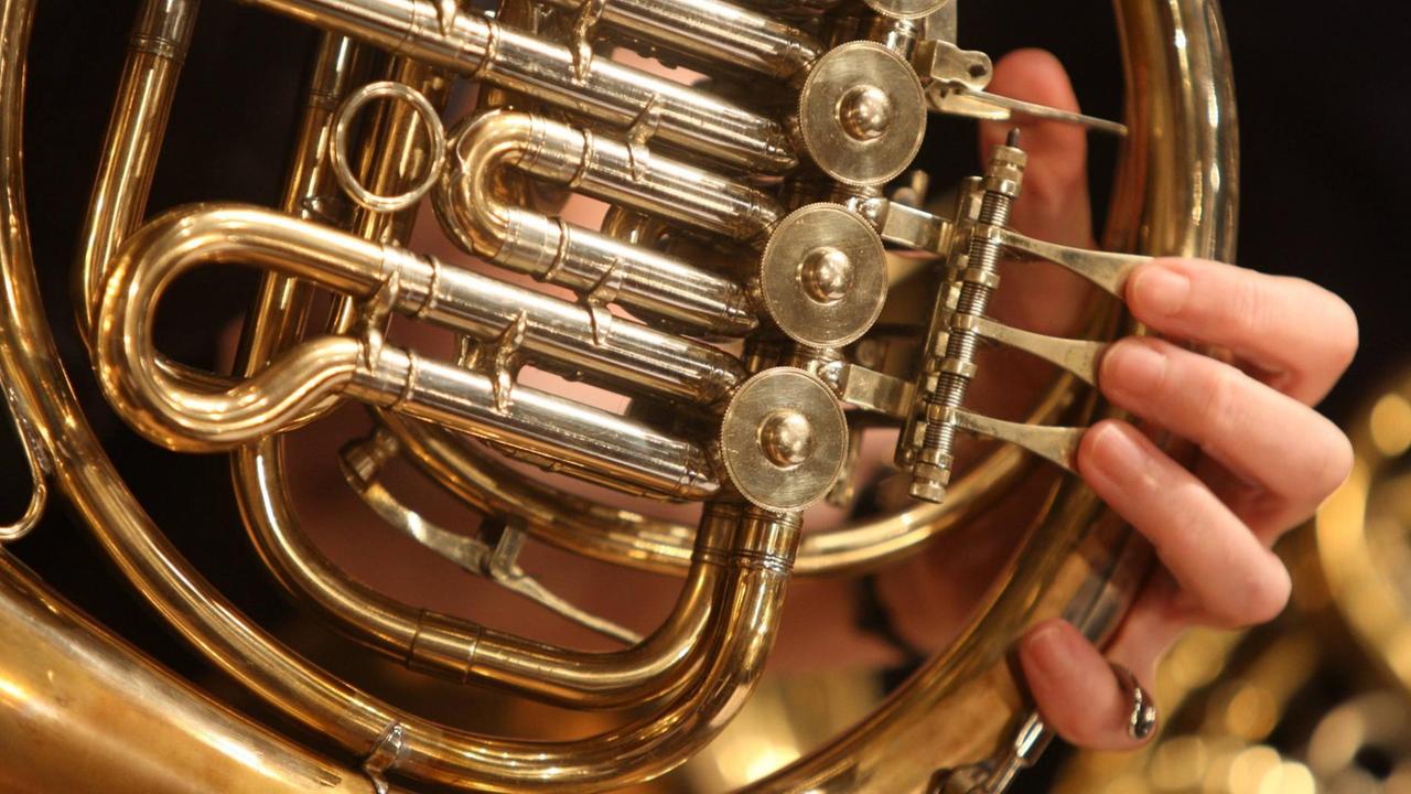 Großaufnahme des Horns, bei dem die vielen Blechröhren zur Geltung kommen. Großaufnahme des Horns, bei dem die vielen Blechröhren zur Geltung kommen.