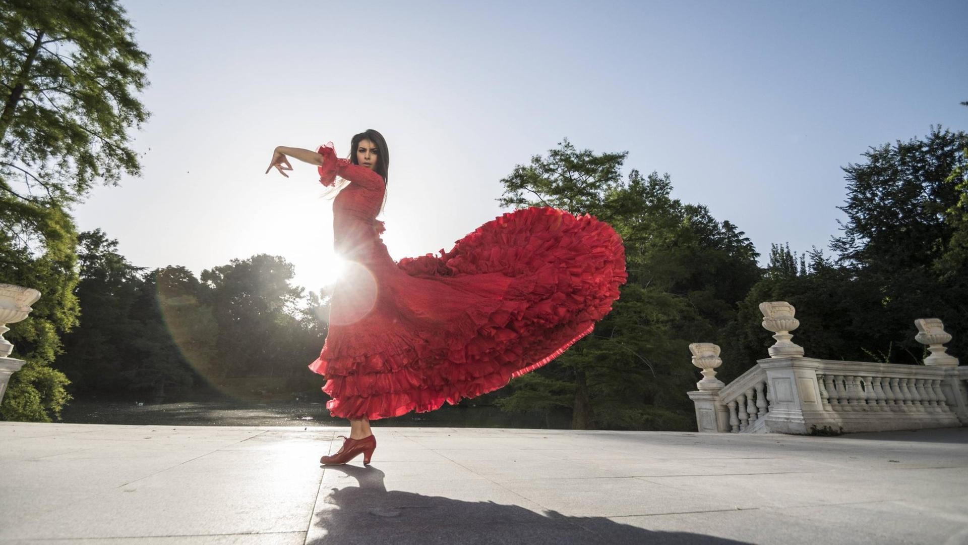 Flamenco-Tänzerin Flamenco-Tänzerin
