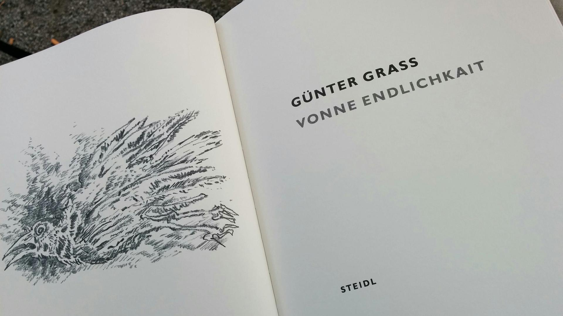 Aufgeschlagen: Günter Grass "Vonne Endlichkait" Aufgeschlagen: Günter Grass "Vonne Endlichkait"