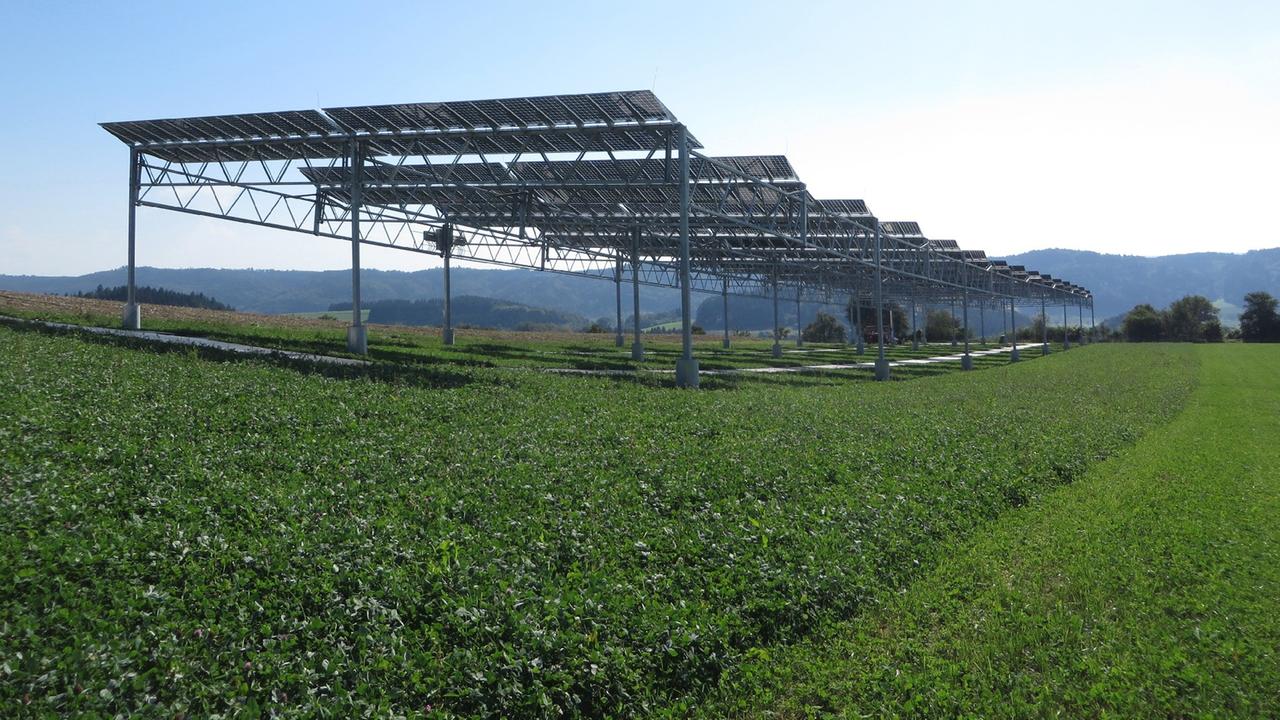 Die Agrophotovoltaik-Pilotanlage des Fraunhofer ISE in Heggelbach am Bodensee: Auf einem Feld mit Klee steht ein Gerüst mit Solarmodulen Die Agrophotovoltaik-Pilotanlage des Fraunhofer ISE in Heggelbach am Bodensee: Auf einem Feld mit Klee steht ein Gerüst mit Solarmodulen