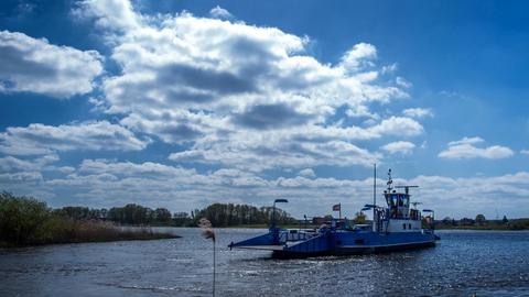 Das Foto zeigt ein Fährschiff auf der Elbe.